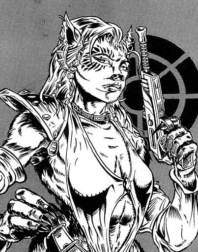 «Starbound Misfit»