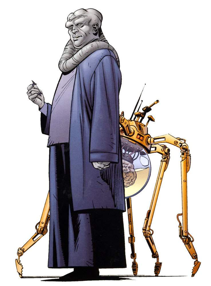 B'omarr Order